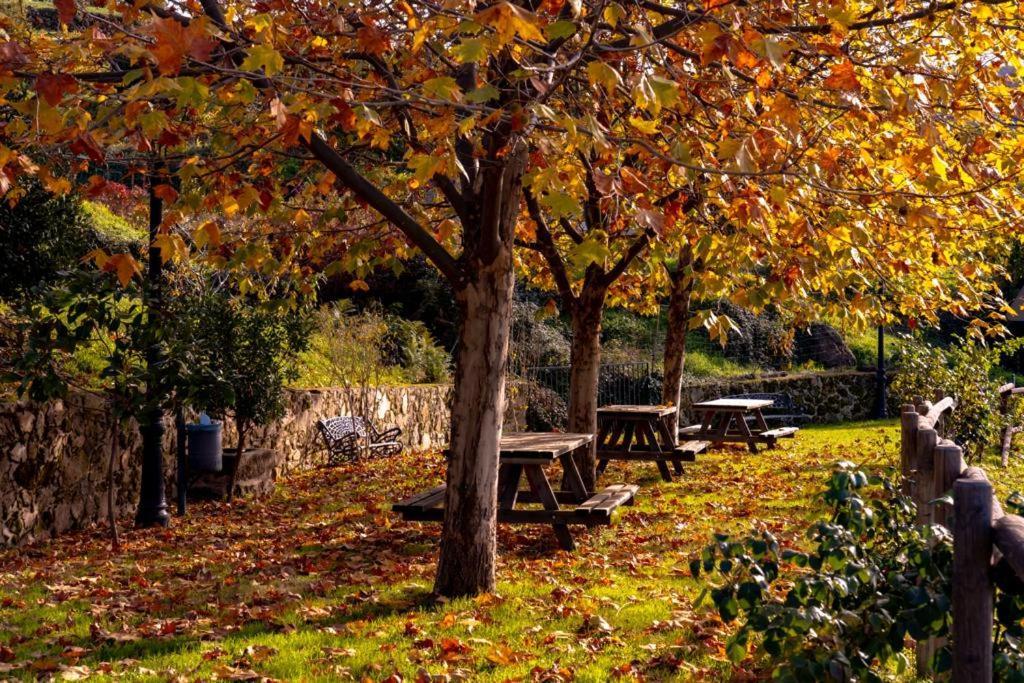 La Canada Del Valle Del Jerte Navaconcejo Eksteriør billede